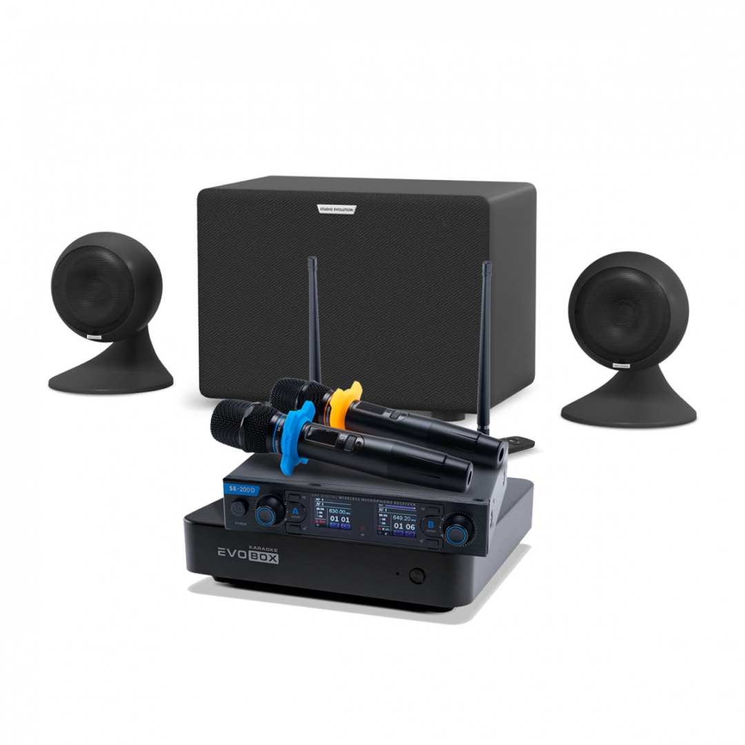 караоке-комплект EVOBOX + EvoSound Sphere 2.1 в Рузаевке