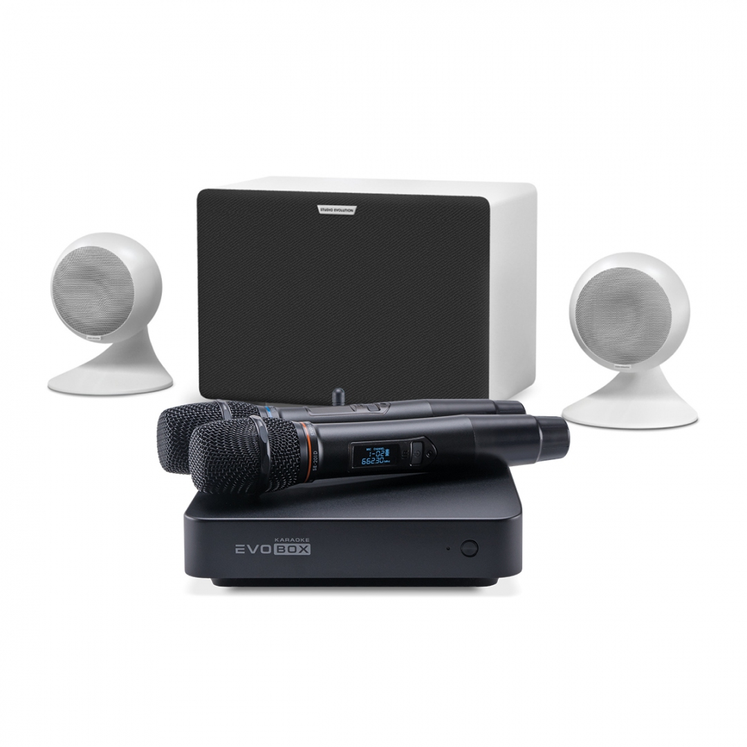 караоке-комплект EVOBOX Classic + EvoSound Sphere 2.1 в Рузаевке
