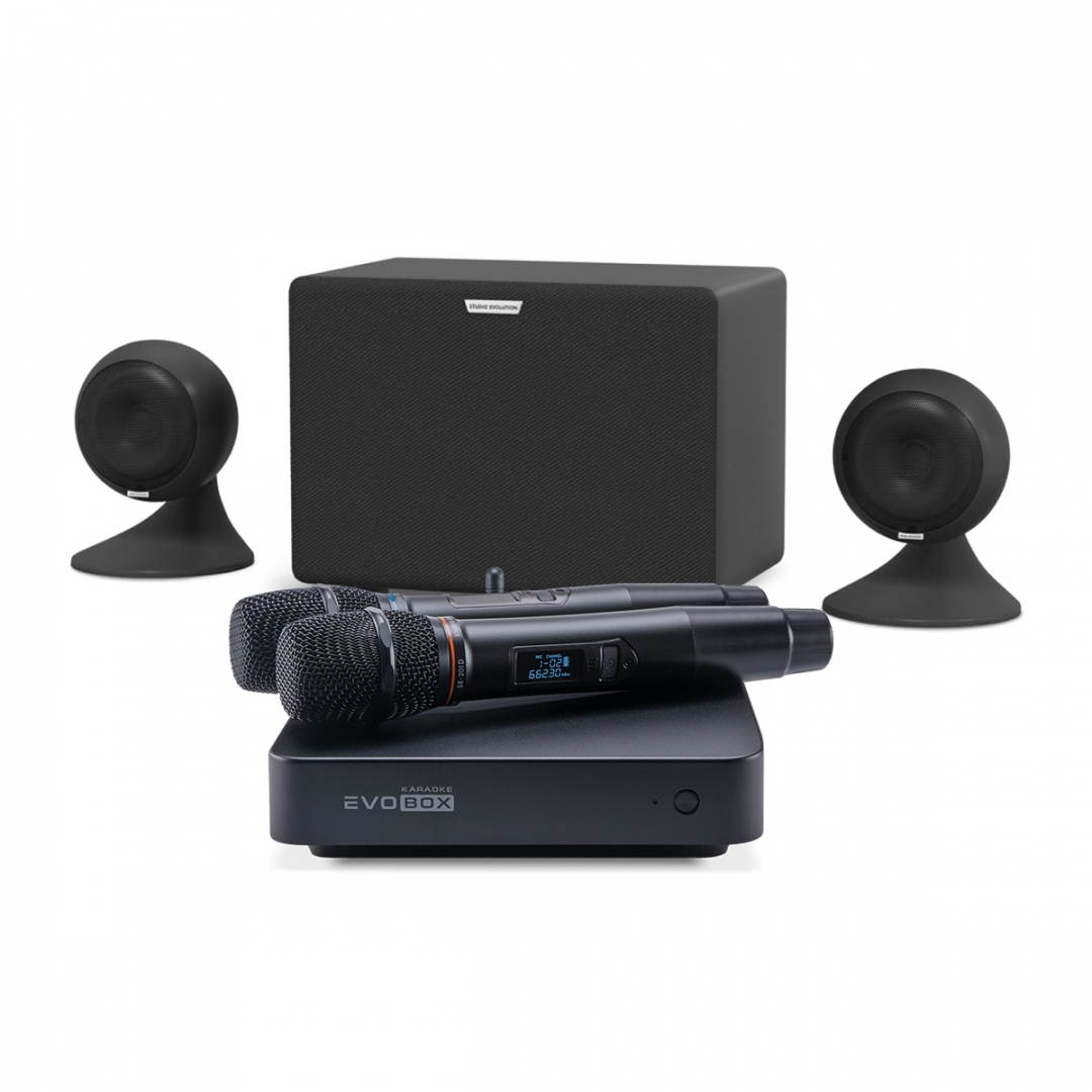 караоке-комплект EVOBOX Plus + EvoSound Sphere 2.1 в Рузаевке