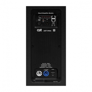 Активная акустическая система AST-310A в Рузаевке