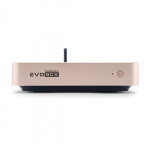 EVOBOX Plus караоке-система для дома в Рузаевке