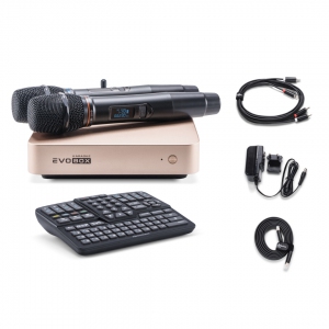 EVOBOX Plus караоке-система для дома в Рузаевке