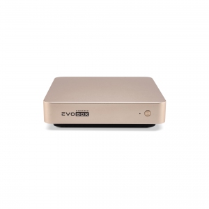 EVOBOX с микрофонами в Рузаевке